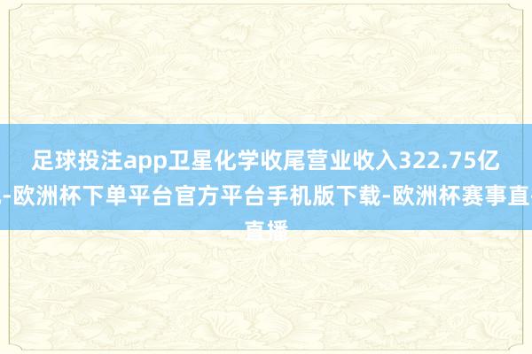足球投注app卫星化学收尾营业收入322.75亿元-欧洲杯下单平台官方平台手机版下载-欧洲杯赛事直播