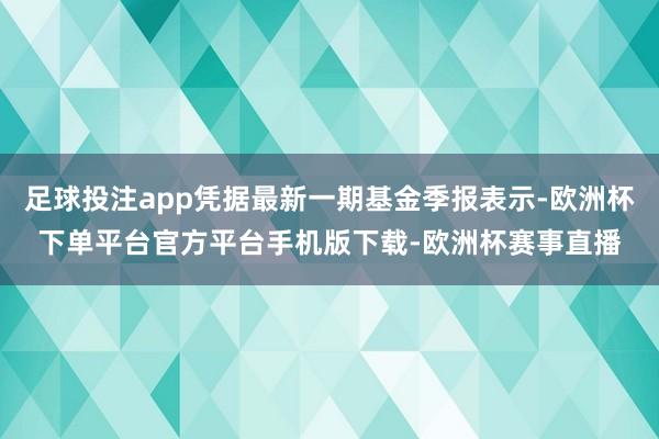 足球投注app凭据最新一期基金季报表示-欧洲杯下单平台官方平台手机版下载-欧洲杯赛事直播