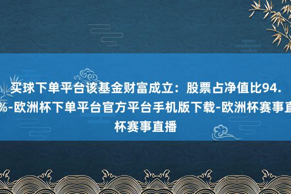 买球下单平台该基金财富成立：股票占净值比94.49%-欧洲杯下单平台官方平台手机版下载-欧洲杯赛事直播