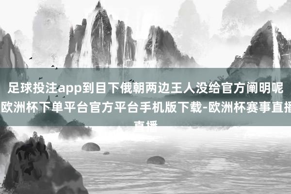 足球投注app到目下俄朝两边王人没给官方阐明呢-欧洲杯下单平台官方平台手机版下载-欧洲杯赛事直播