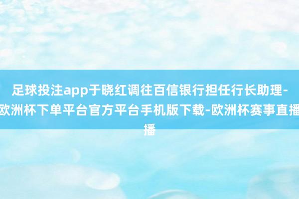 足球投注app于晓红调往百信银行担任行长助理-欧洲杯下单平台官方平台手机版下载-欧洲杯赛事直播