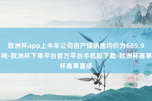 欧洲杯app上半年公司自产煤销售均价为685.92元/吨-欧洲杯下单平台官方平台手机版下载-欧洲杯赛事直播