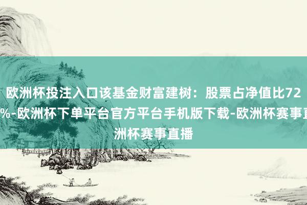 欧洲杯投注入口该基金财富建树：股票占净值比72.01%-欧洲杯下单平台官方平台手机版下载-欧洲杯赛事直播