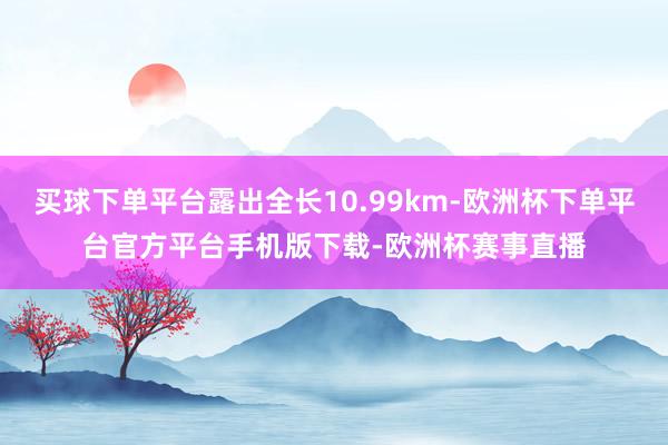 买球下单平台露出全长10.99km-欧洲杯下单平台官方平台手机版下载-欧洲杯赛事直播
