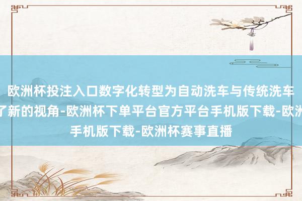 欧洲杯投注入口数字化转型为自动洗车与传统洗车的对比提供了新的视角-欧洲杯下单平台官方平台手机版下载-欧洲杯赛事直播