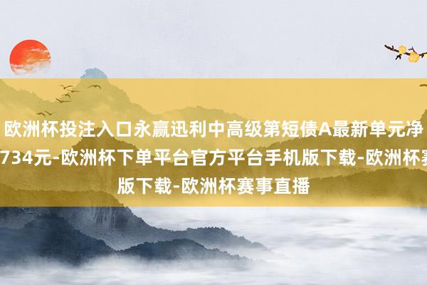 欧洲杯投注入口永赢迅利中高级第短债A最新单元净值为1.0734元-欧洲杯下单平台官方平台手机版下载-欧洲杯赛事直播