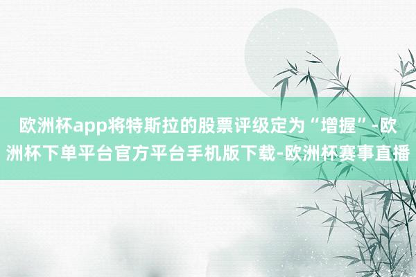 欧洲杯app将特斯拉的股票评级定为“增握”-欧洲杯下单平台官方平台手机版下载-欧洲杯赛事直播