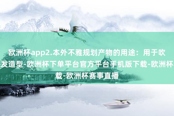 欧洲杯app2.本外不雅规划产物的用途：用于吹头发和头发造型-欧洲杯下单平台官方平台手机版下载-欧洲杯赛事直播