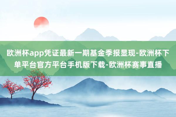 欧洲杯app凭证最新一期基金季报显现-欧洲杯下单平台官方平台手机版下载-欧洲杯赛事直播